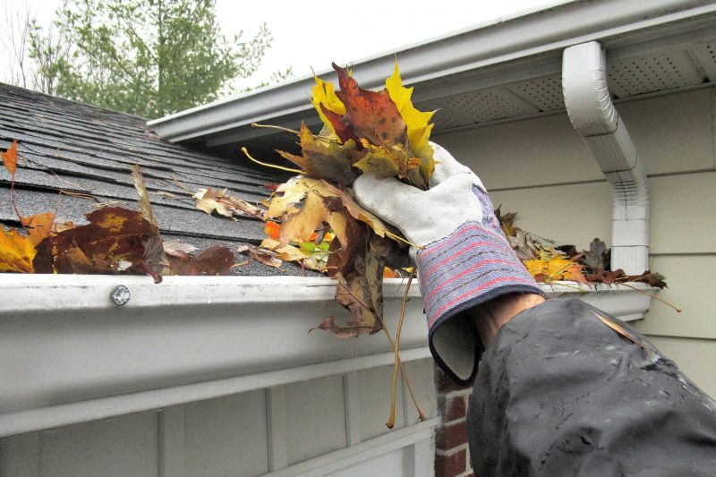 Local Gutter Service Providers